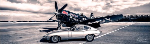 Jaguar de profil et Corsair 20X60CM