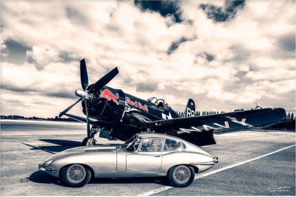 Jaguar de profil et Corsair 30X40CM