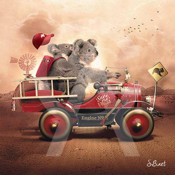 Koala Pompiers Dibond