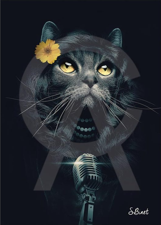 CHAT CHANTEUSE DIBOND